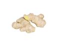 Ginger