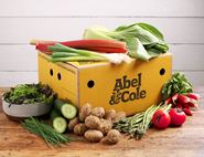 The Best of Organic May Box