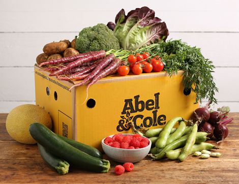 The Best of Organic July Box