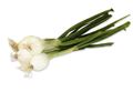 Spring Onions