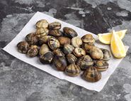 Wild English Clams, Chapmans (500g)