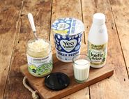 Fantastic Ferments Bundle, Organic