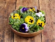 Salad Mix & Edible Flowers, Organic (100g)