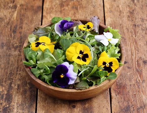 Salad Mix & Edible Flowers, Organic (100g)