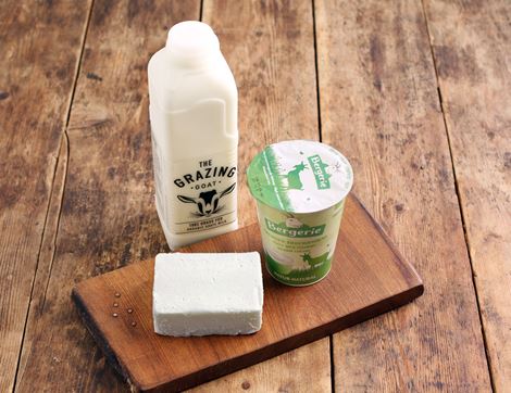 Essential Goat Dairy Bundle