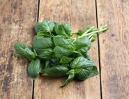 Basil, Non-Organic, Harvest London (50g)