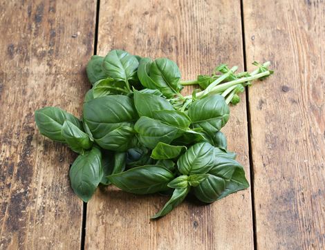 Basil, Non-Organic (50g)
