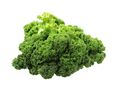 Green Kale