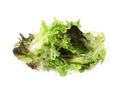 Summer Salad Leaves