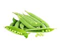 Garden Peas