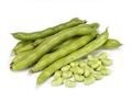 Broad Beans Broad Beans