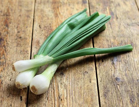 Fresh Bunched Onions, Organic