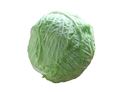 Green Round Cabbage
