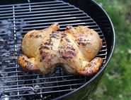 BBQ Tandoori Spatchcock Chicken