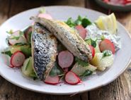 Crispy Pan Fried Mackerel with Wild Sea Purslane