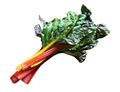 Chard, Rainbow
