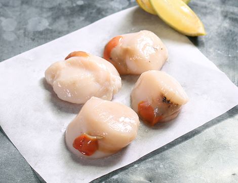 Scallops (pack of 4)