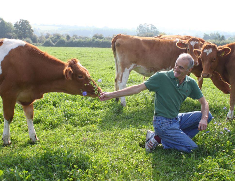 Berkeley Farm Dairy