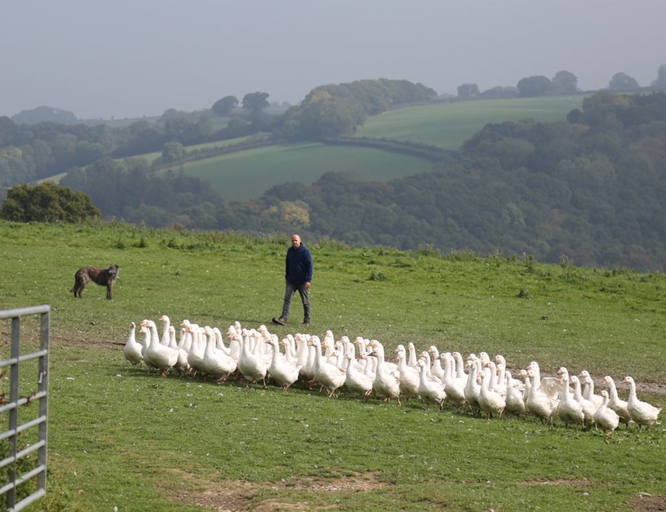 Summerhill Farm