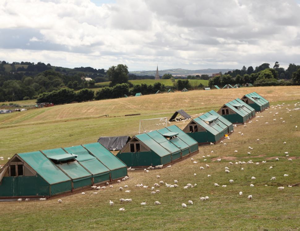 Wood Green Farm