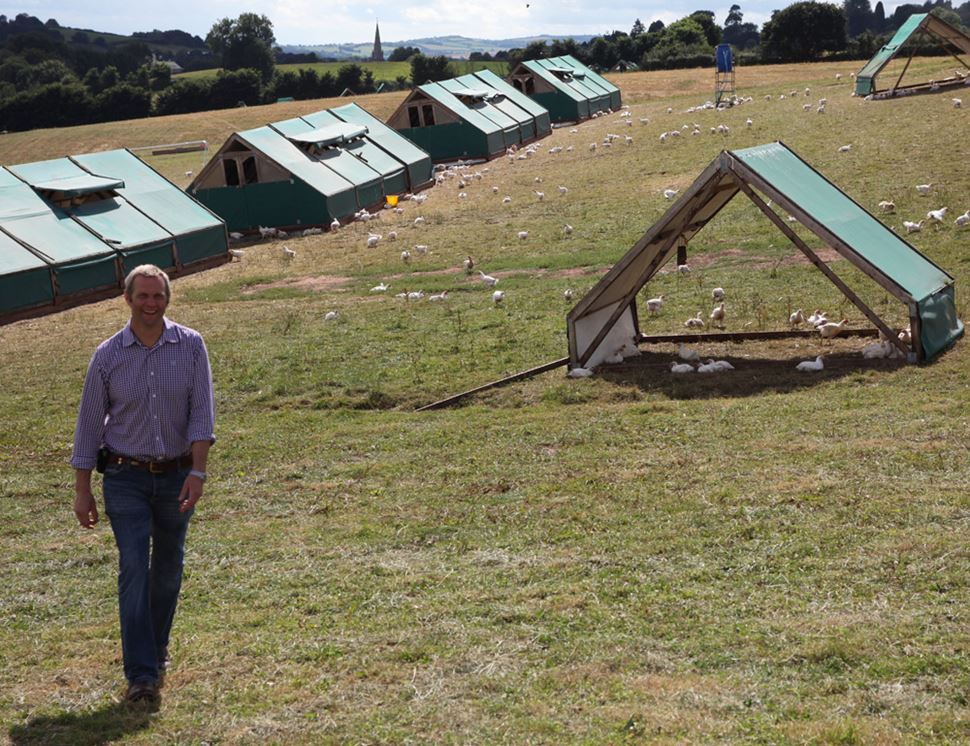 Wood Green Farm