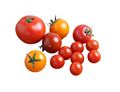 English Tomato Mix, Organic (225g)