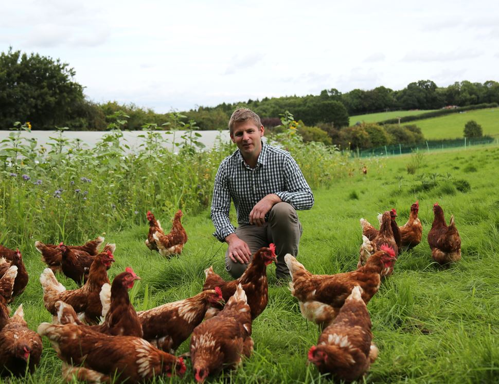 Haresfield Farm