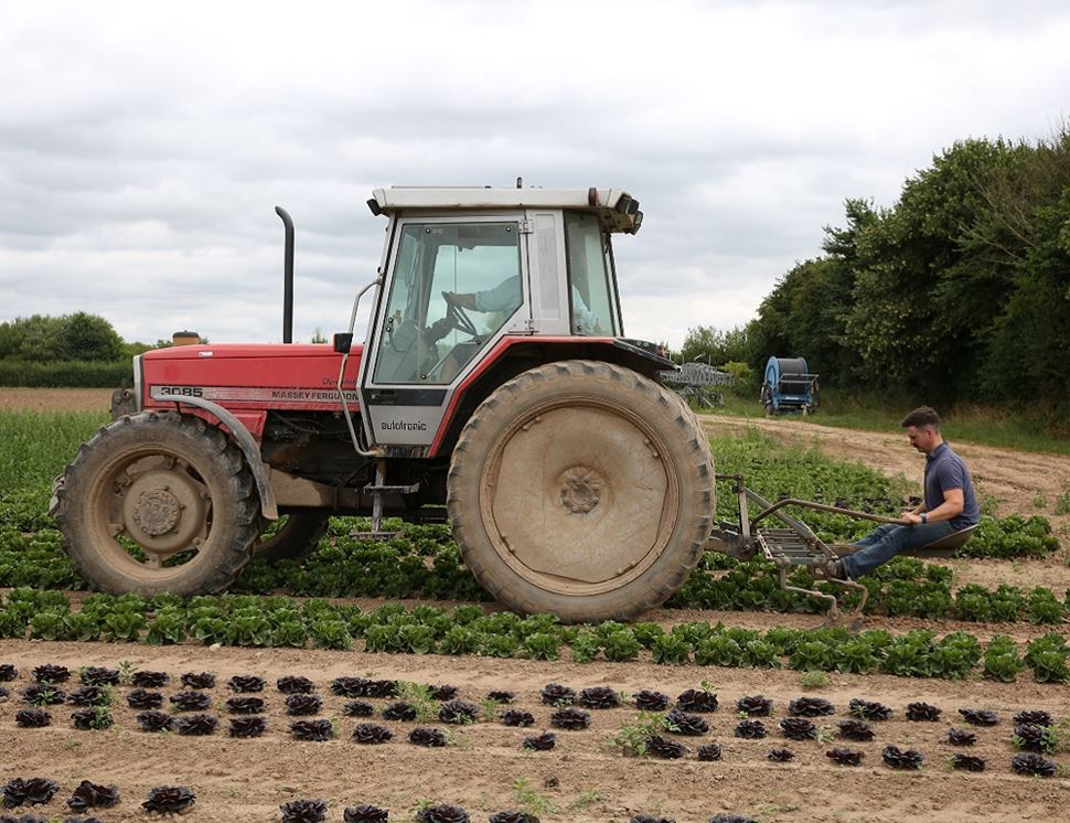 Broadward Hall Farm