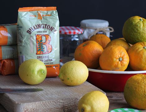 Seville Orange Marmalade Kit, Organic