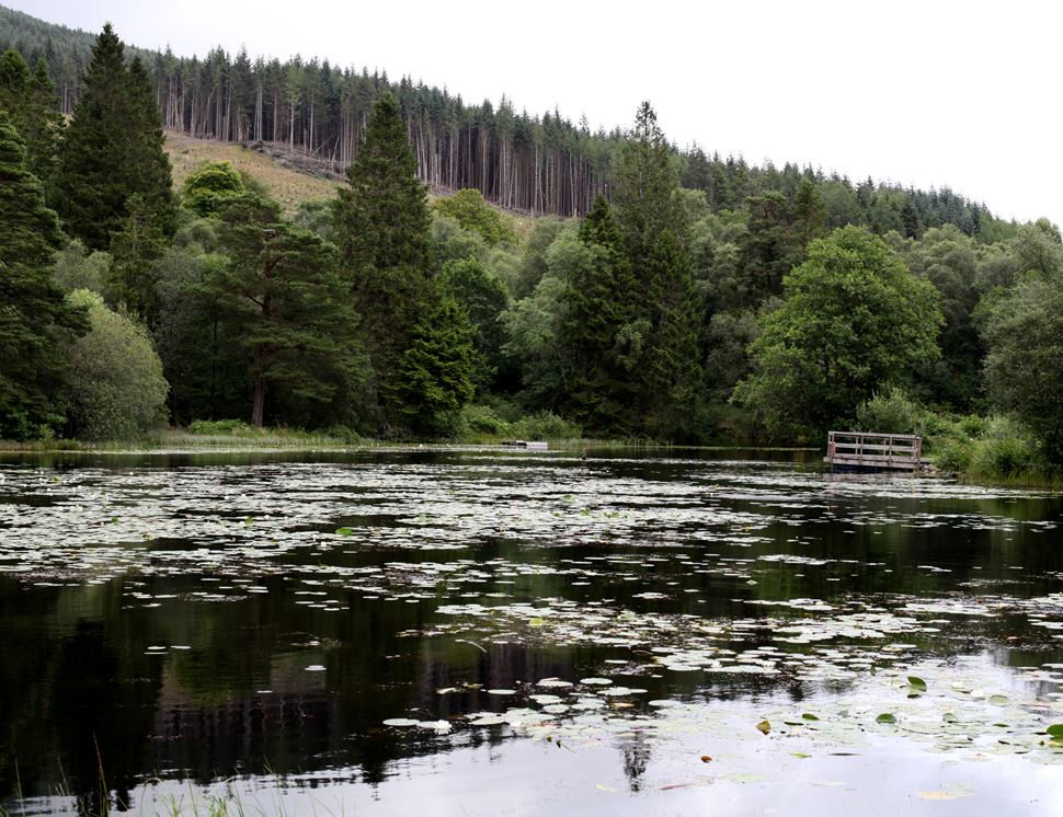 Inverawe Scottish Oak Smokehouse