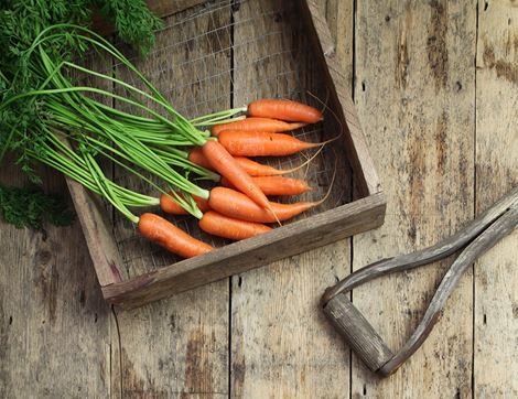 Bunched Carrots, Organic