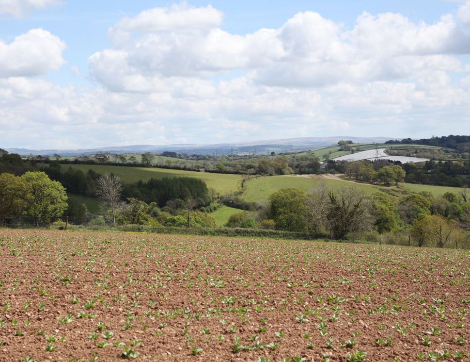 Coombe Lynher Farm