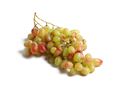 Grapes, White Seedless Grapes, White Seedless