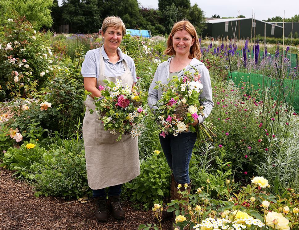 Organic Blooms