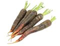 Purple Carrots Purple Carrots