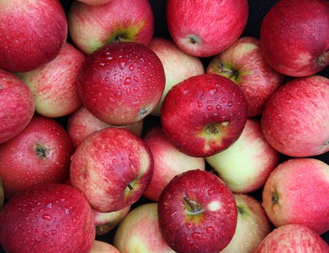 English Apples, Organic (700g)