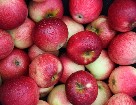 British apples shop