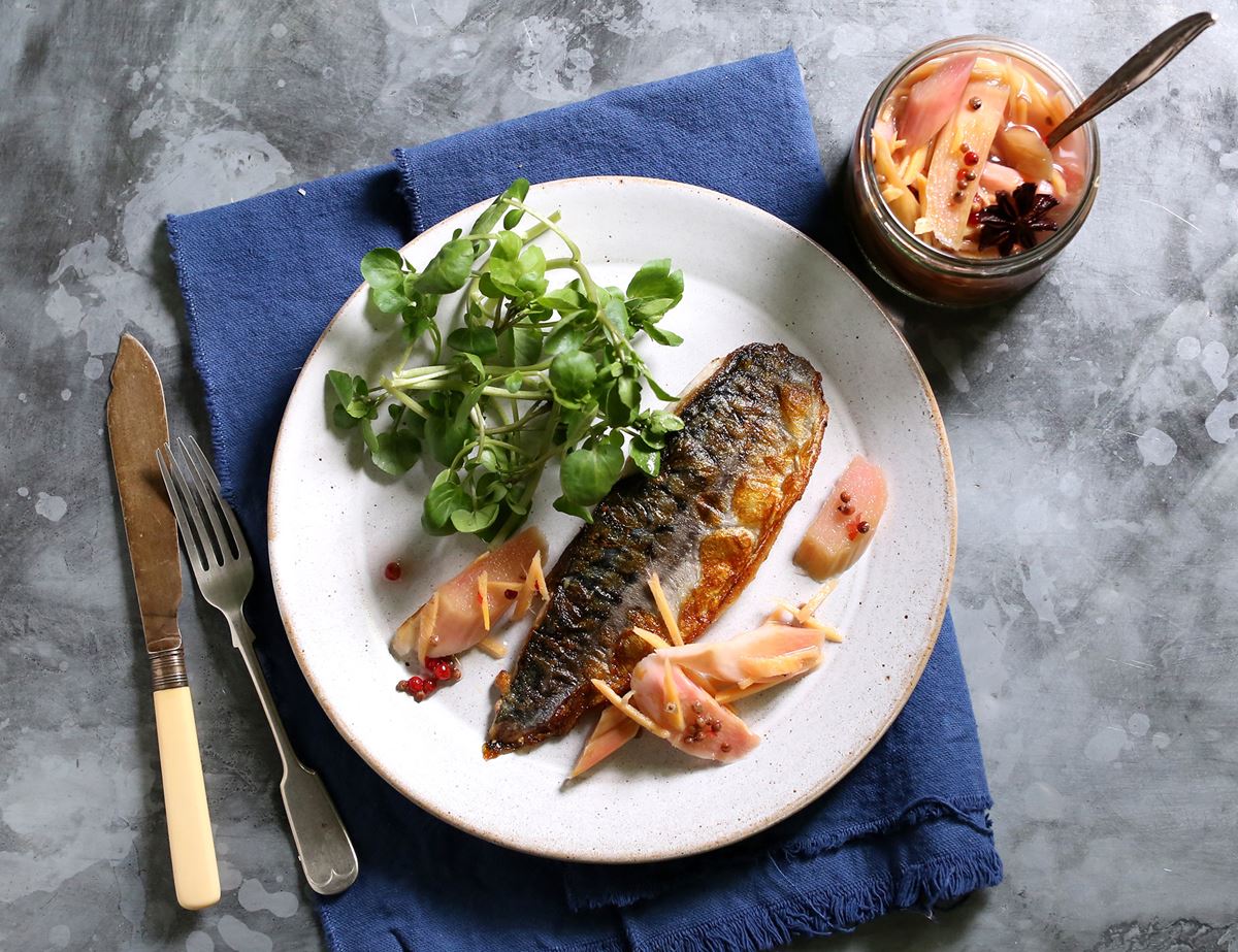 Mackerel with Pickled Rhubarb, Lemongrass & Ginger