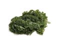 Green Kale Green Kale