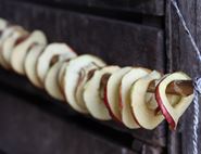 Dried Apple Rings