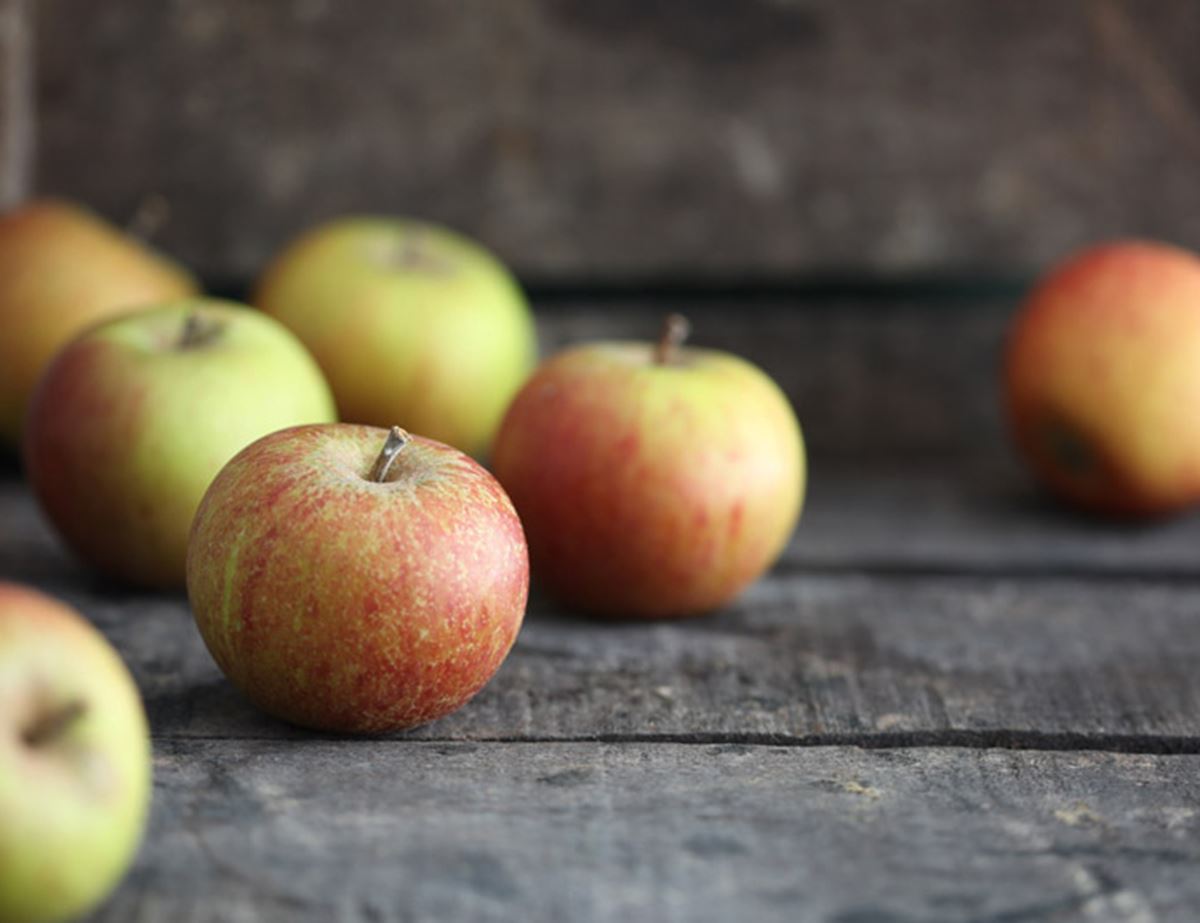 Apple Griddle Cakes