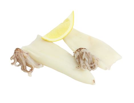 Fresh Squid (150g min)