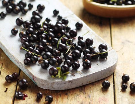 English Jostaberries, Organic (125g)