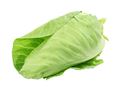 Green Cabbage