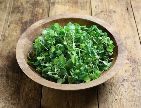 Watercress, Organic (100g)