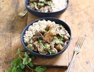 Creamy Mushroom Stroganoff