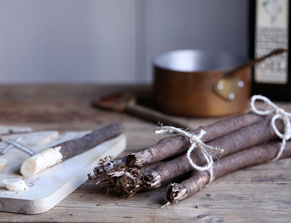 Black Salsify Stick Tips