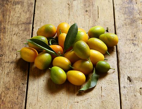 organic kumquats