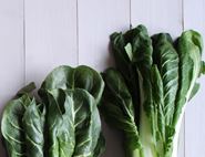 Pak Choi and Chard Tips