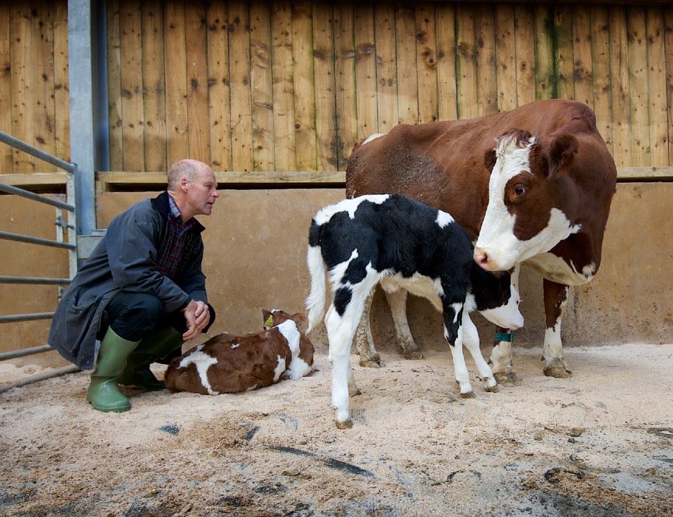 The Ethical Dairy